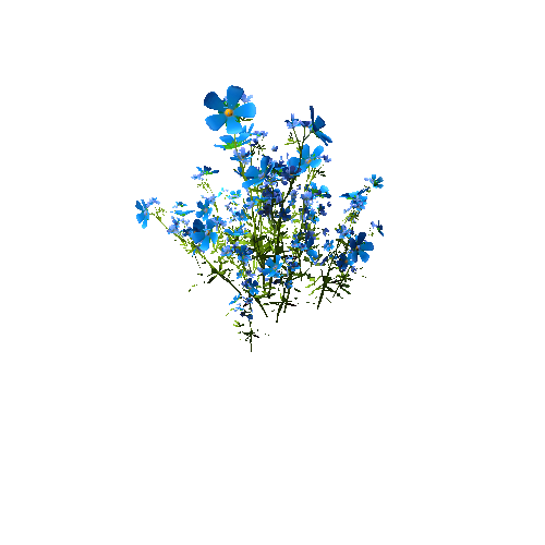 FlowersClump_Blue B (Optimized)